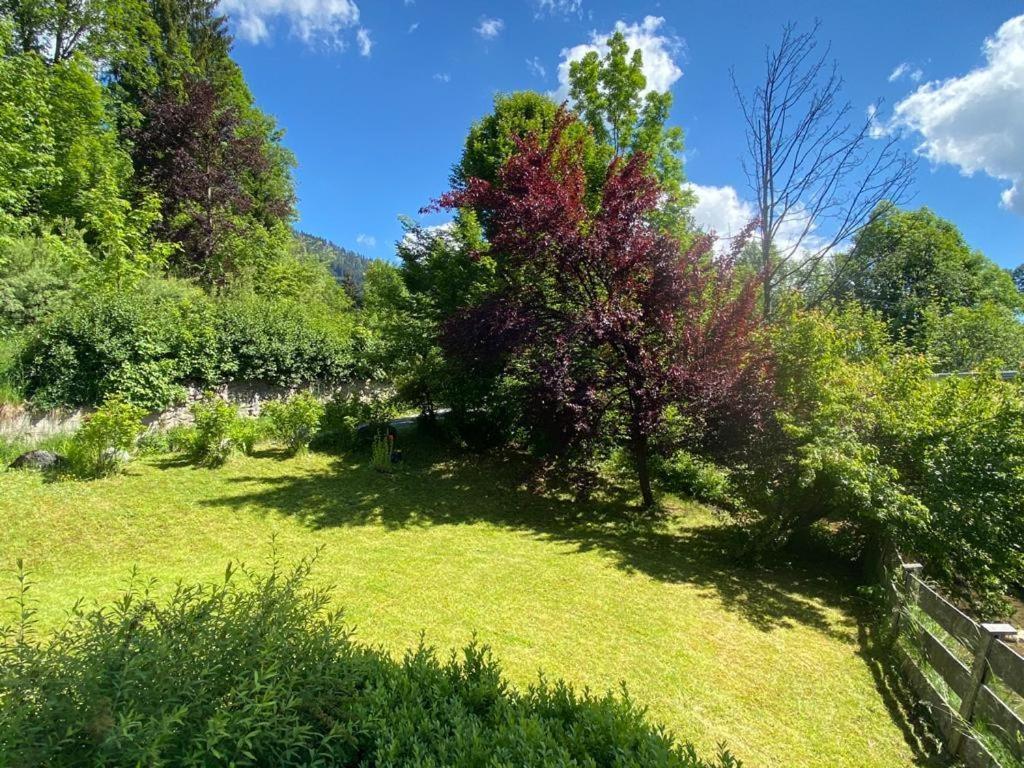 Buchensteinblick Διαμέρισμα Sankt Jakob in Haus Εξωτερικό φωτογραφία